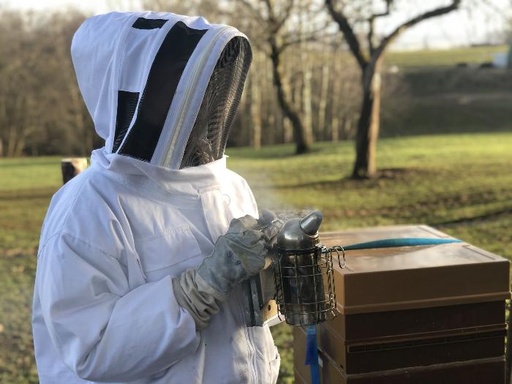 Apiculture (1/2 j.) de 1 à 4 personnes